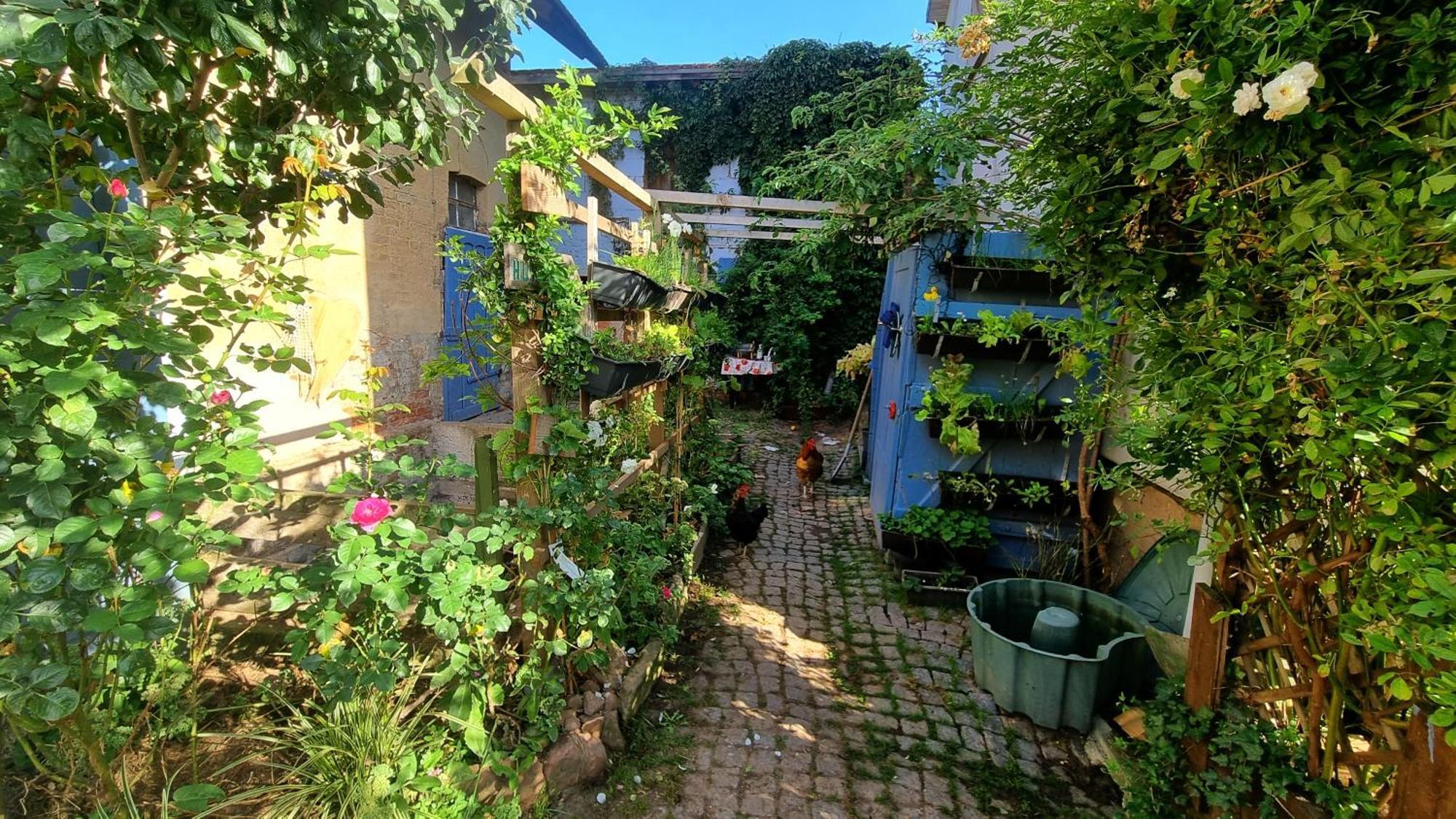Bauernhof Privatzimmer Hortus Sandrine Gemeinschaftsbad Free Wifi Hausbreitenbach Bagian luar foto