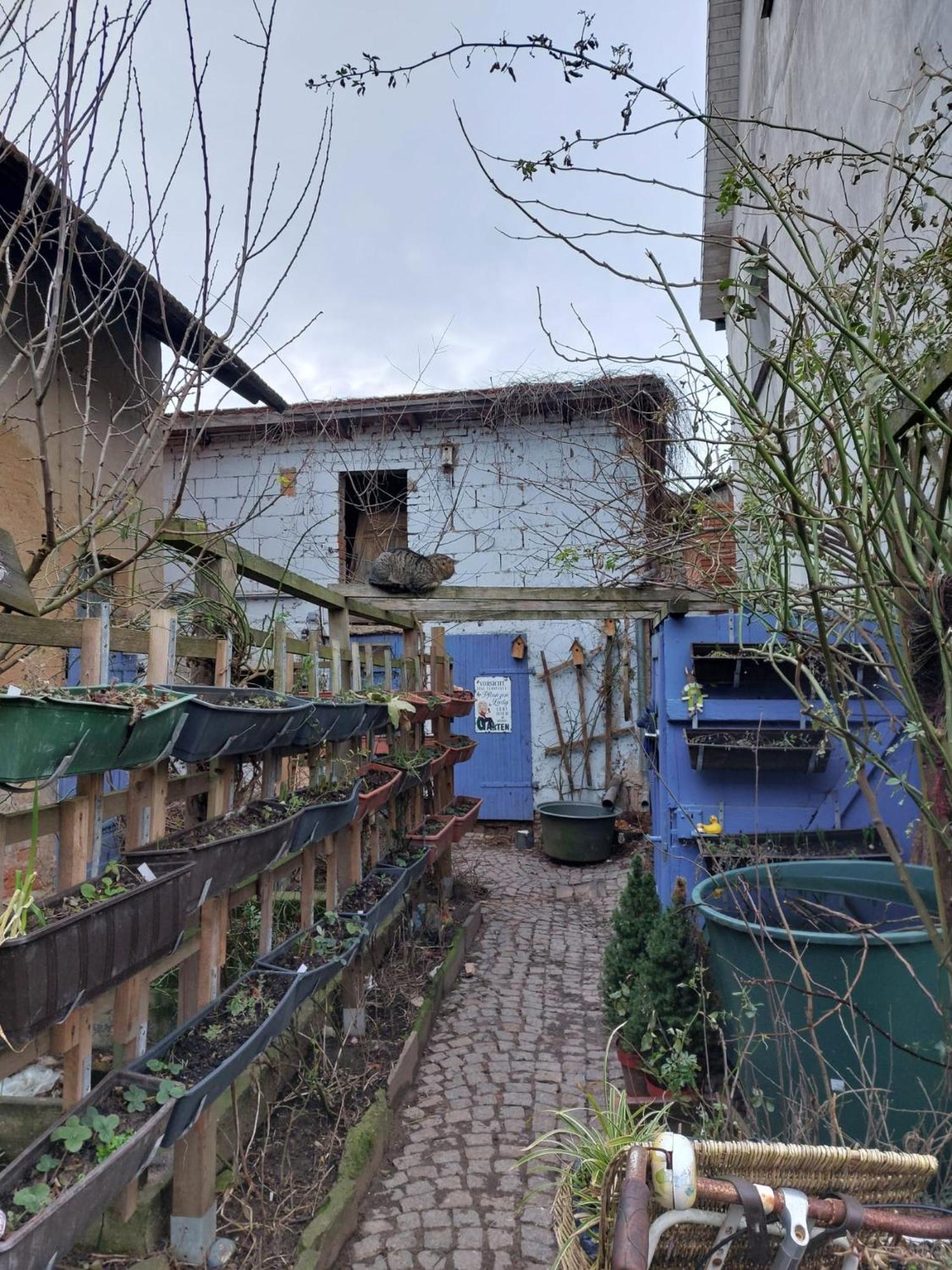 Bauernhof Privatzimmer Hortus Sandrine Gemeinschaftsbad Free Wifi Hausbreitenbach Bagian luar foto